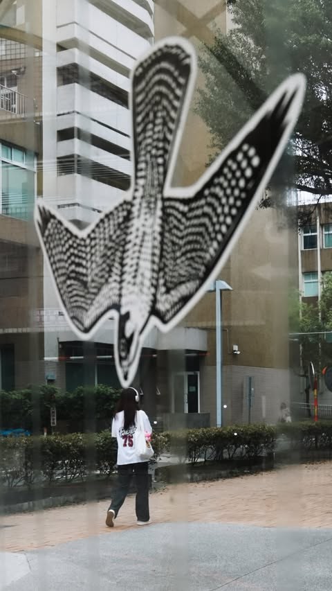 街上亂拍 · 8