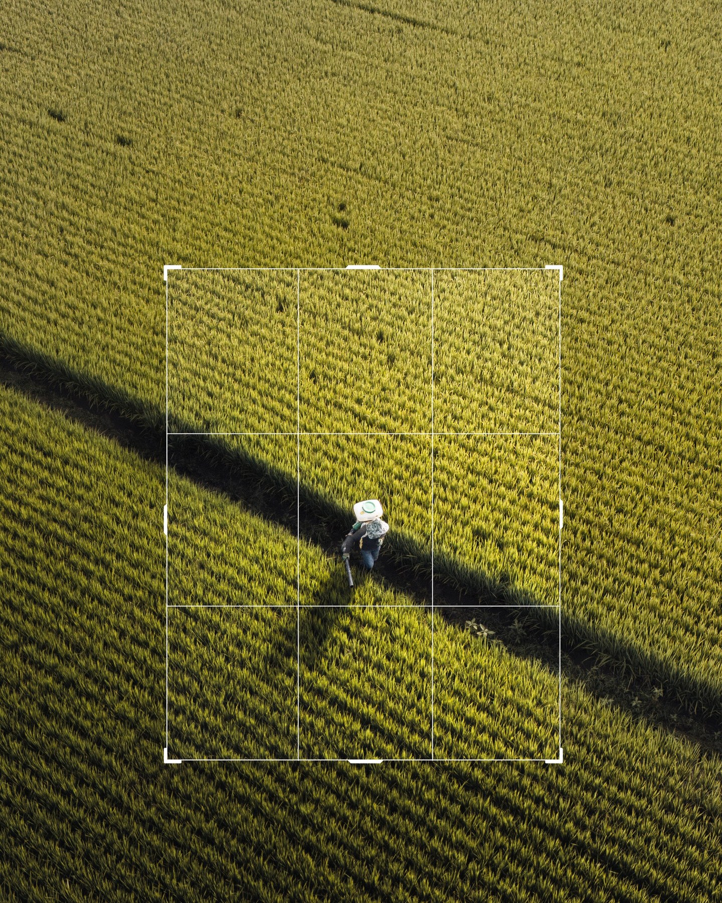 The power of cropping ｜台灣🇹🇼 · 7
