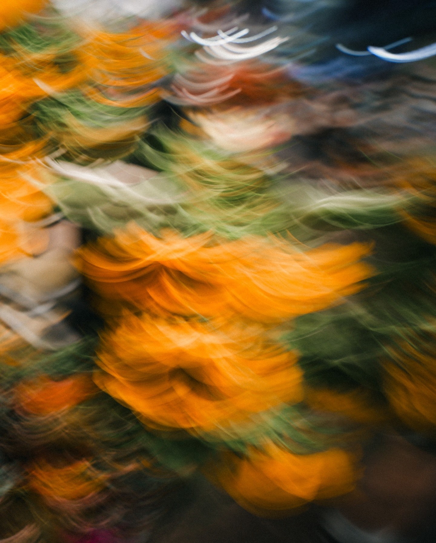 Painting with a camera · 8