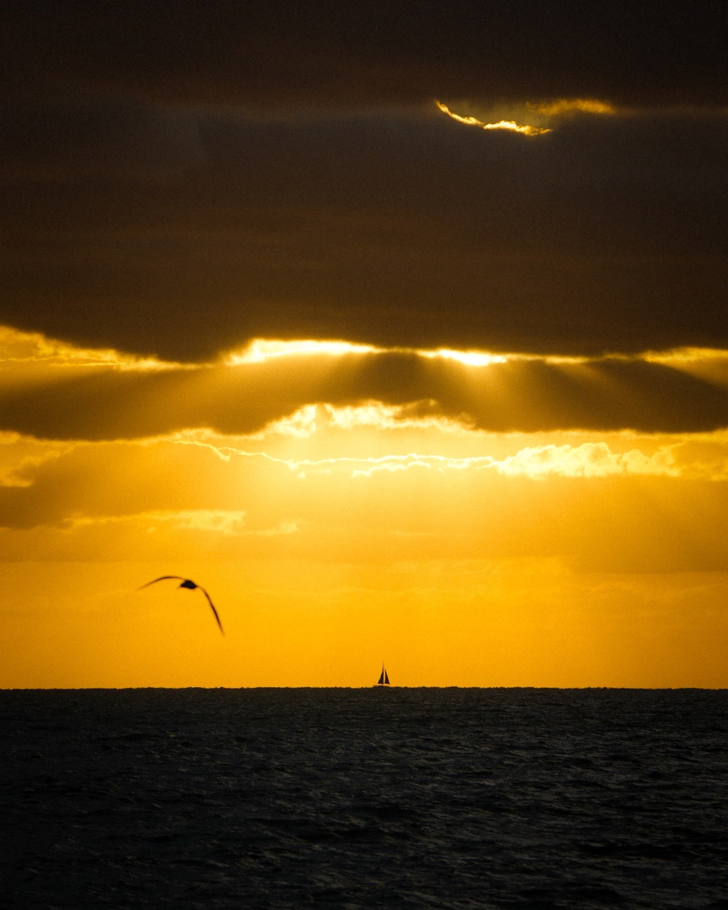 A great day in St Kilda · 3