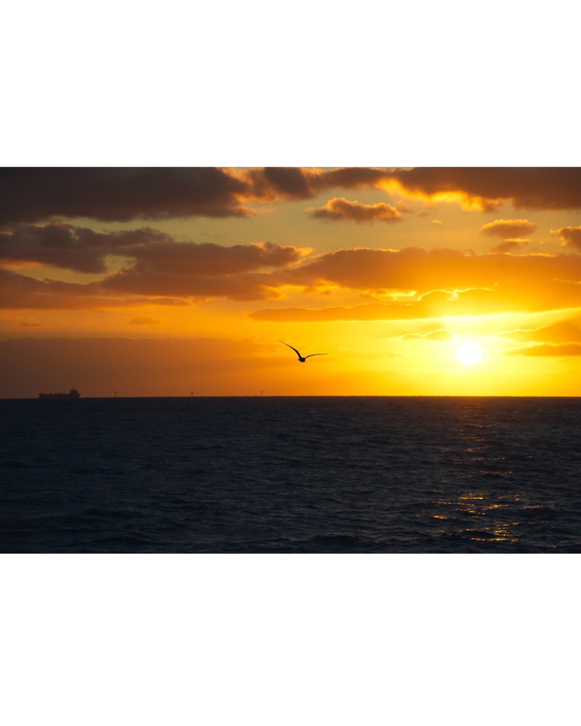 A great day in St Kilda · 6