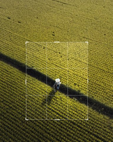 The power of cropping ｜台灣🇹🇼 · 7