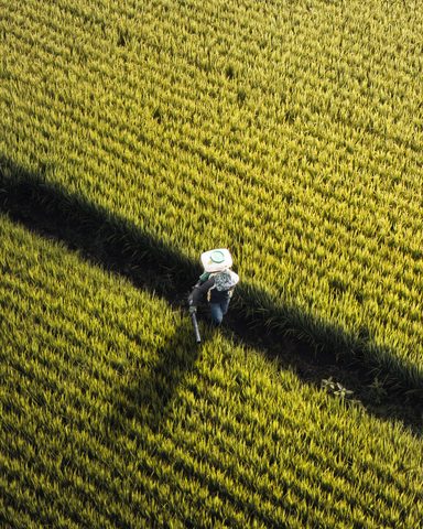 The power of cropping ｜台灣🇹🇼 · 8